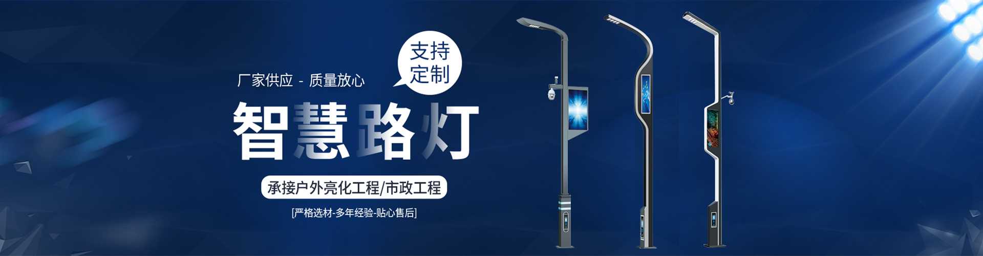 达州市太阳能路灯定制厂家